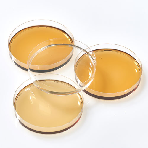 Traitement des boissons Enzymes Panzym YieldMASH XXL Eaton