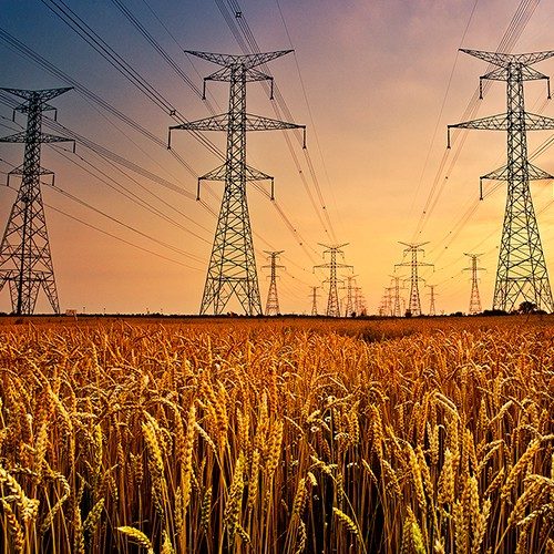 transmission-lines-wheat-field.jpg